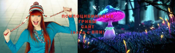 прущий лед Алексин