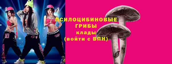 твердый Алексеевка